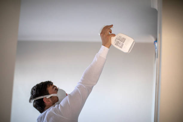 Best Fast Mold Removal  in Perry, GA