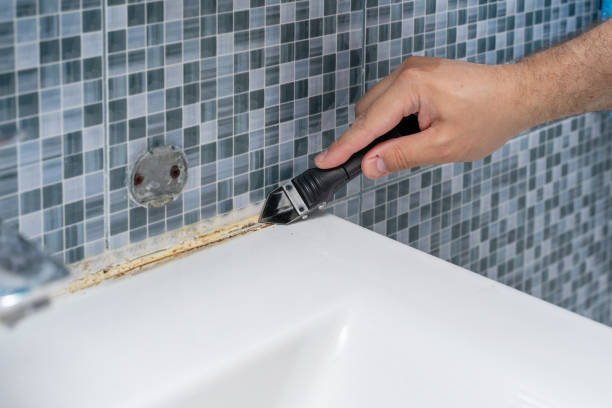 Best Mold Damage Repair  in Perry, GA