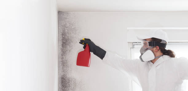 Best Emergency Mold Removal  in Perry, GA